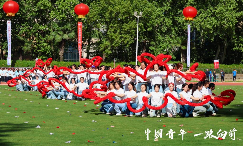 2024年的体操发展
